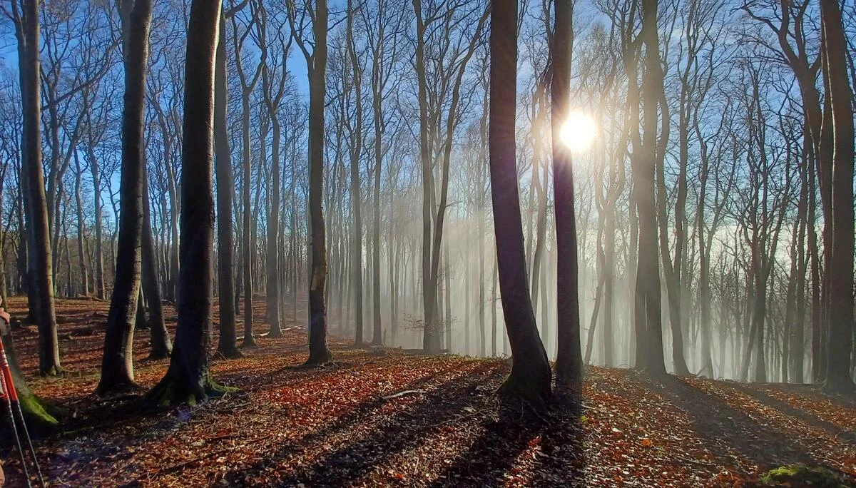 © DAV Sektion Paderborn