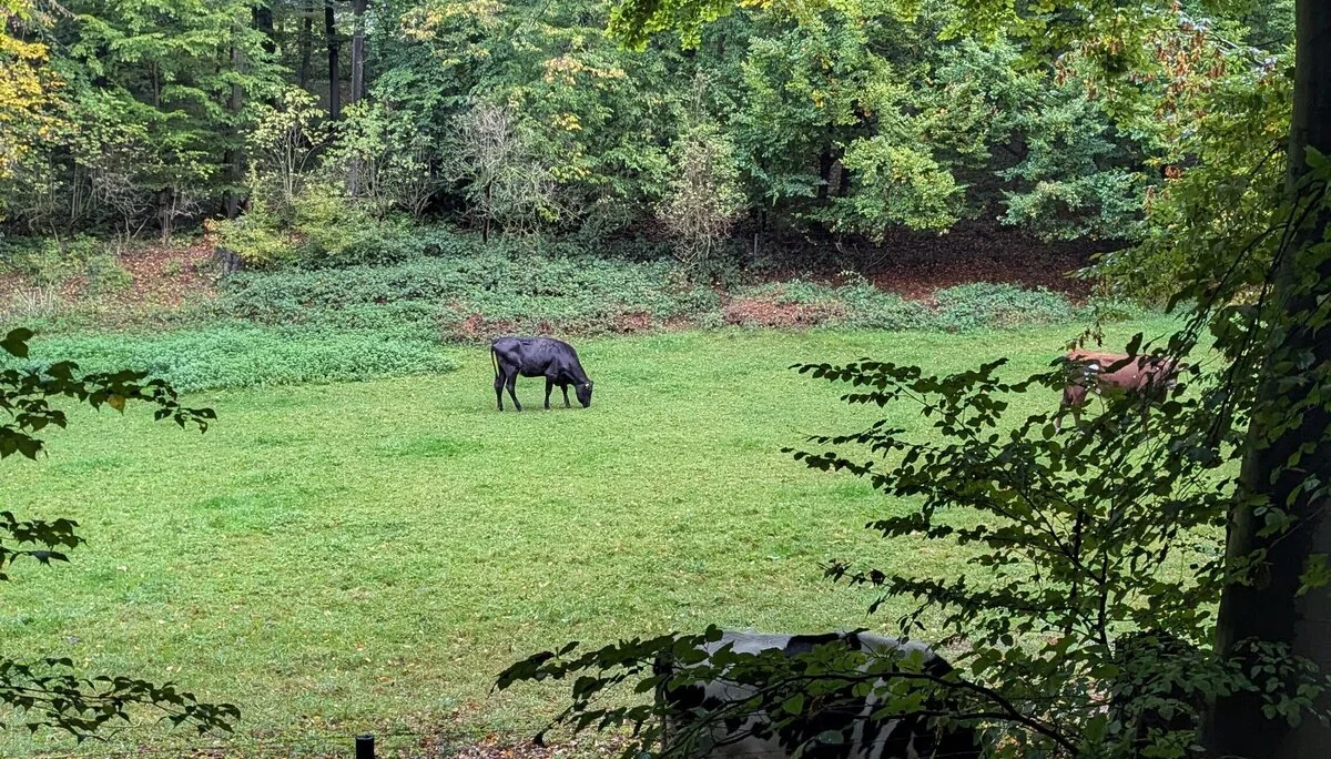 © DAV Sektion Paderborn