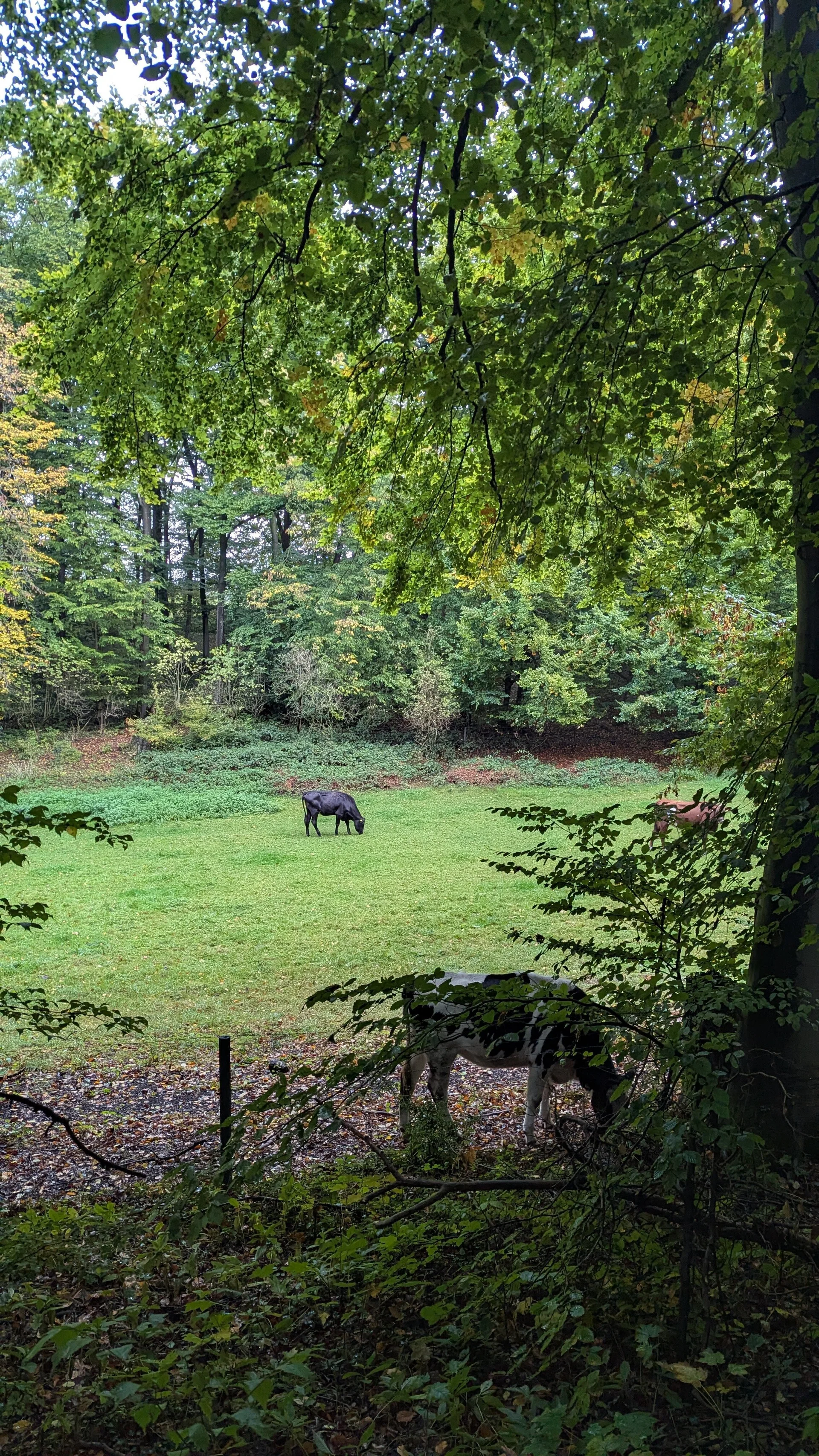 © DAV Sektion Paderborn