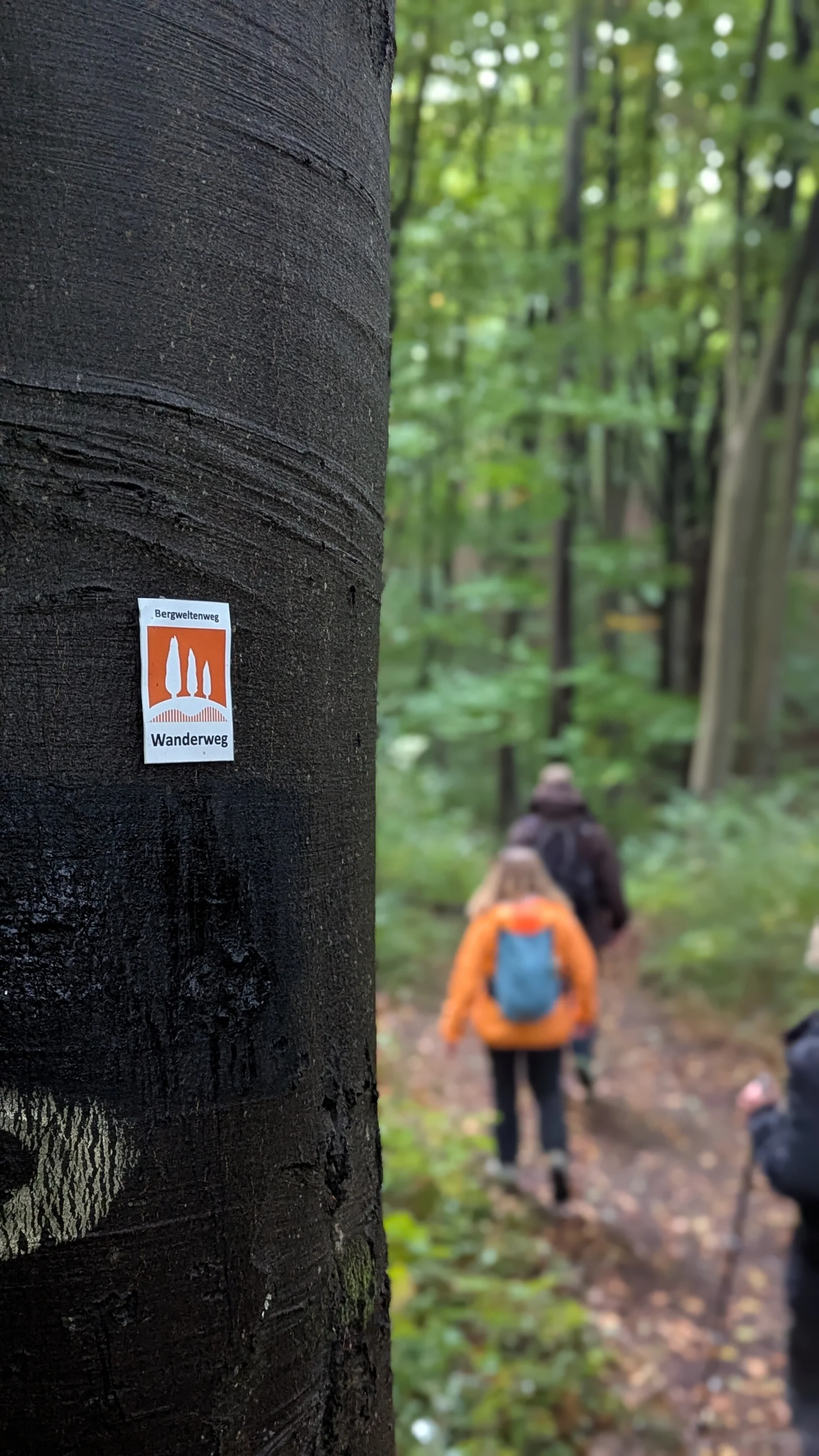 © DAV Sektion Paderborn