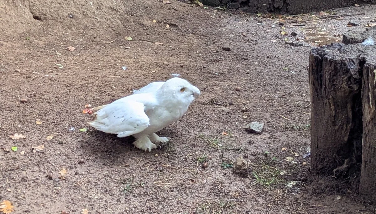 © DAV Sektion Paderborn