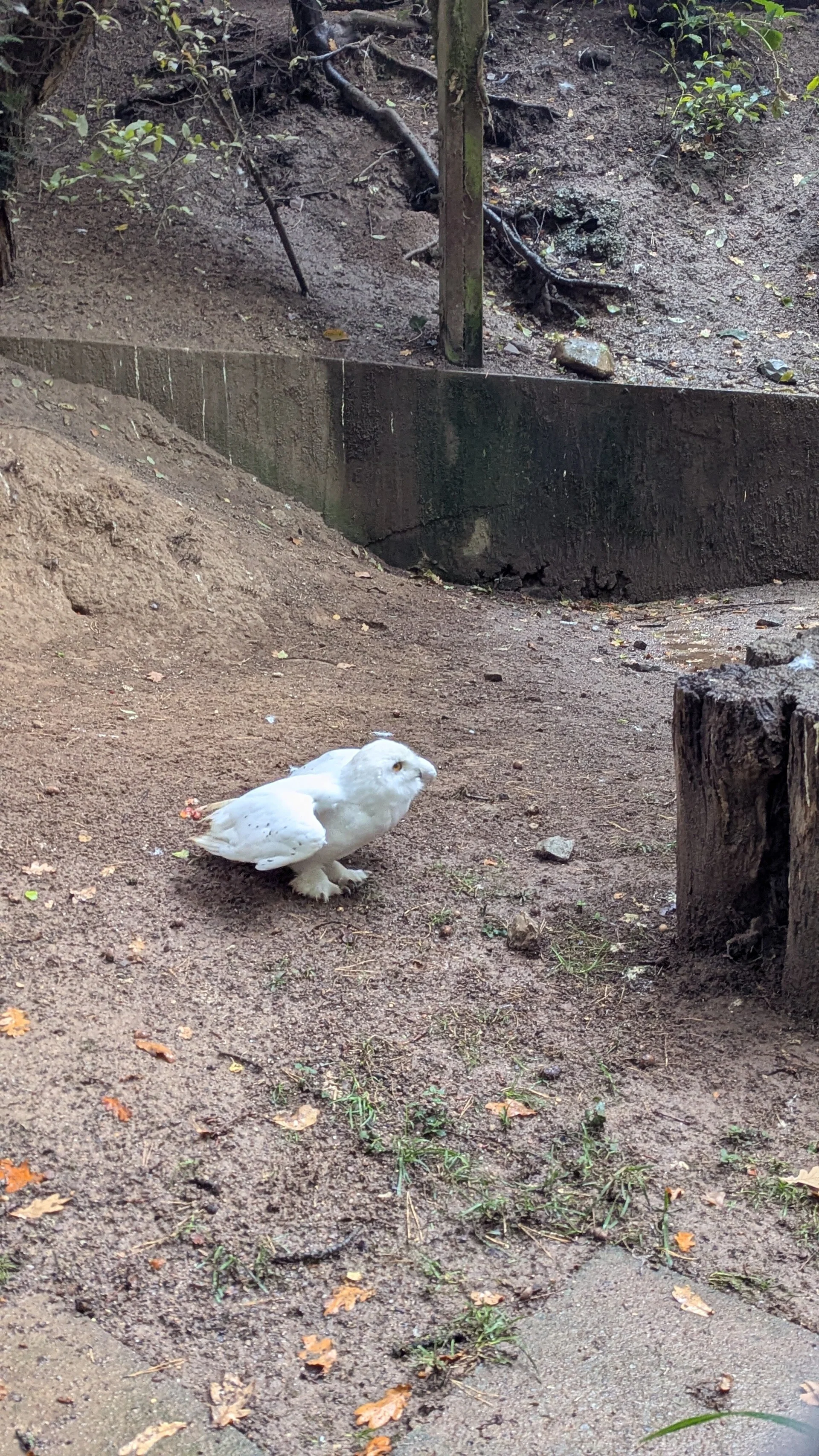 © DAV Sektion Paderborn