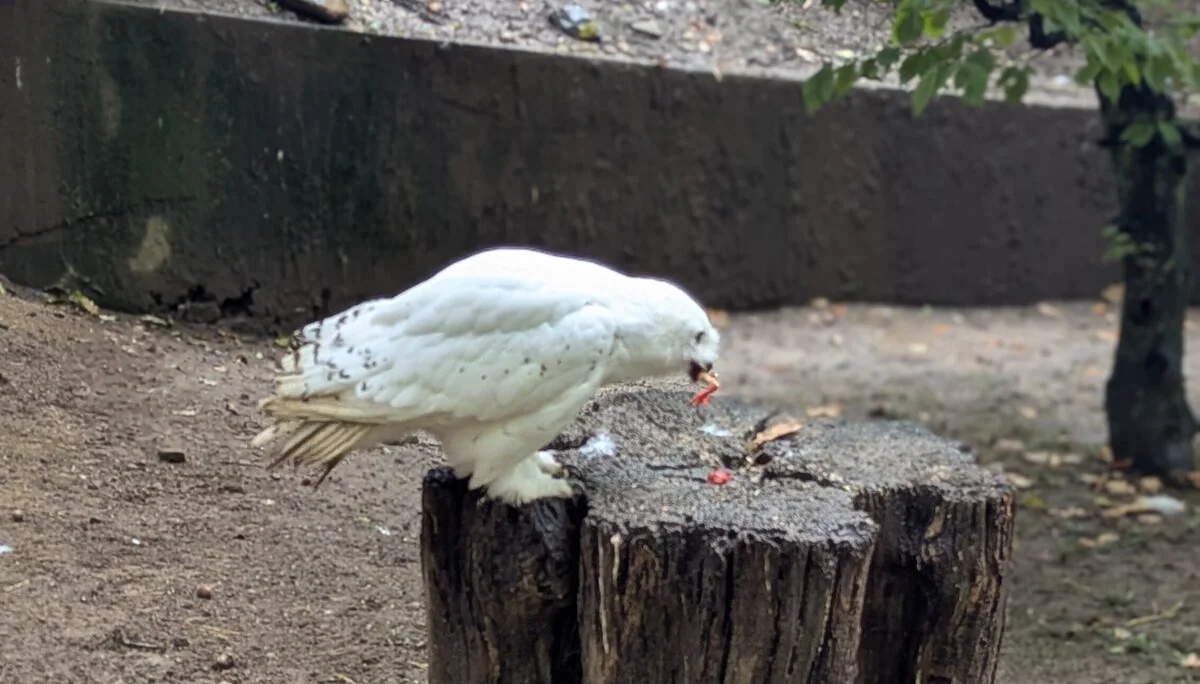 © DAV Sektion Paderborn