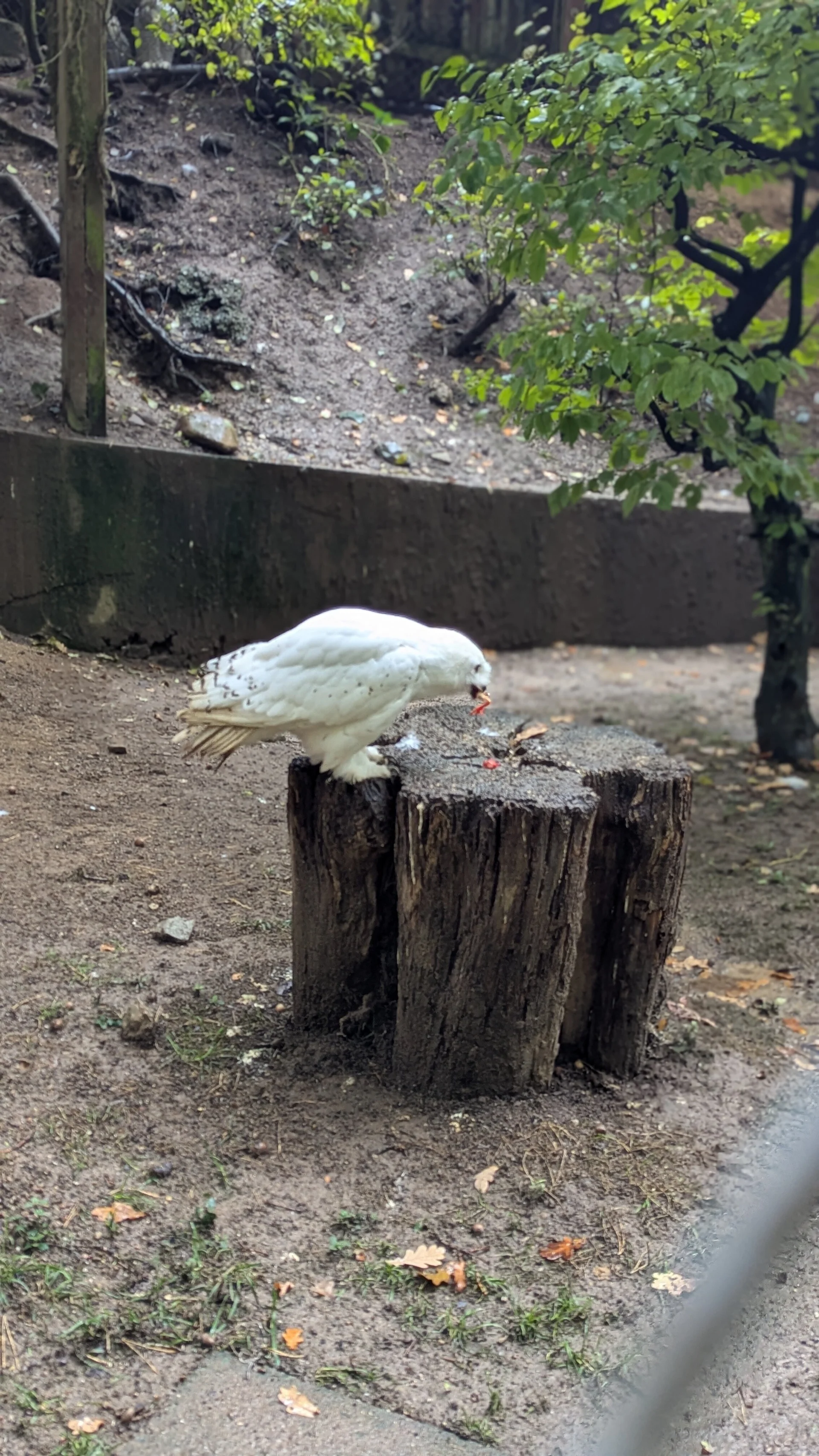 © DAV Sektion Paderborn