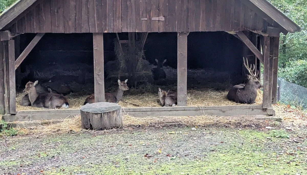 © DAV Sektion Paderborn