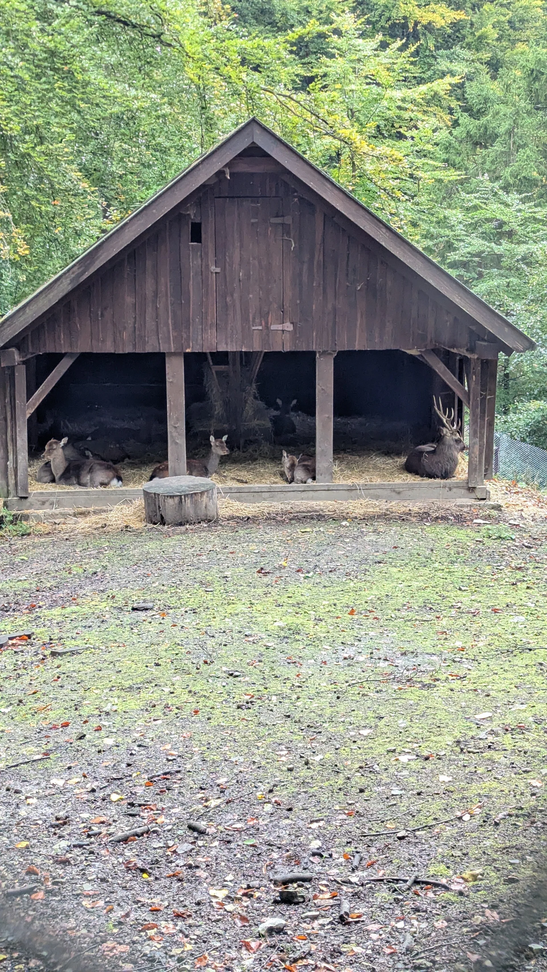 © DAV Sektion Paderborn