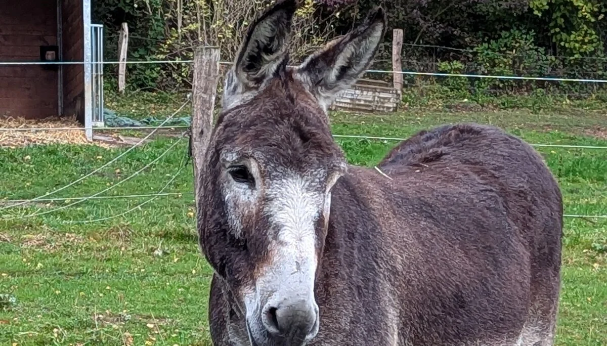 © DAV Sektion Paderborn