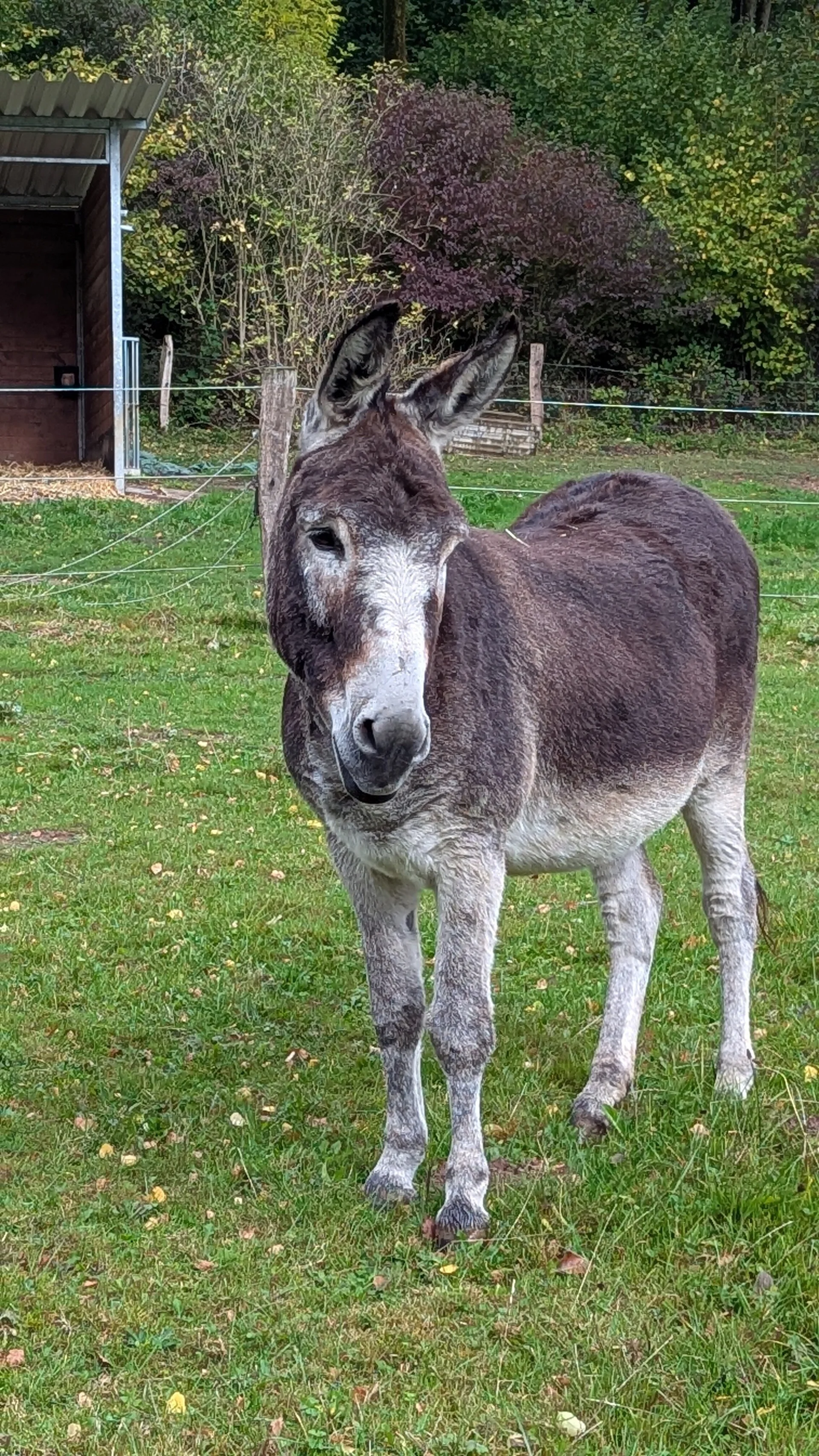 © DAV Sektion Paderborn