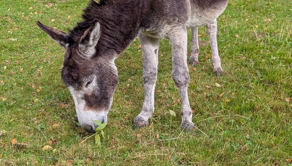 © DAV Sektion Paderborn