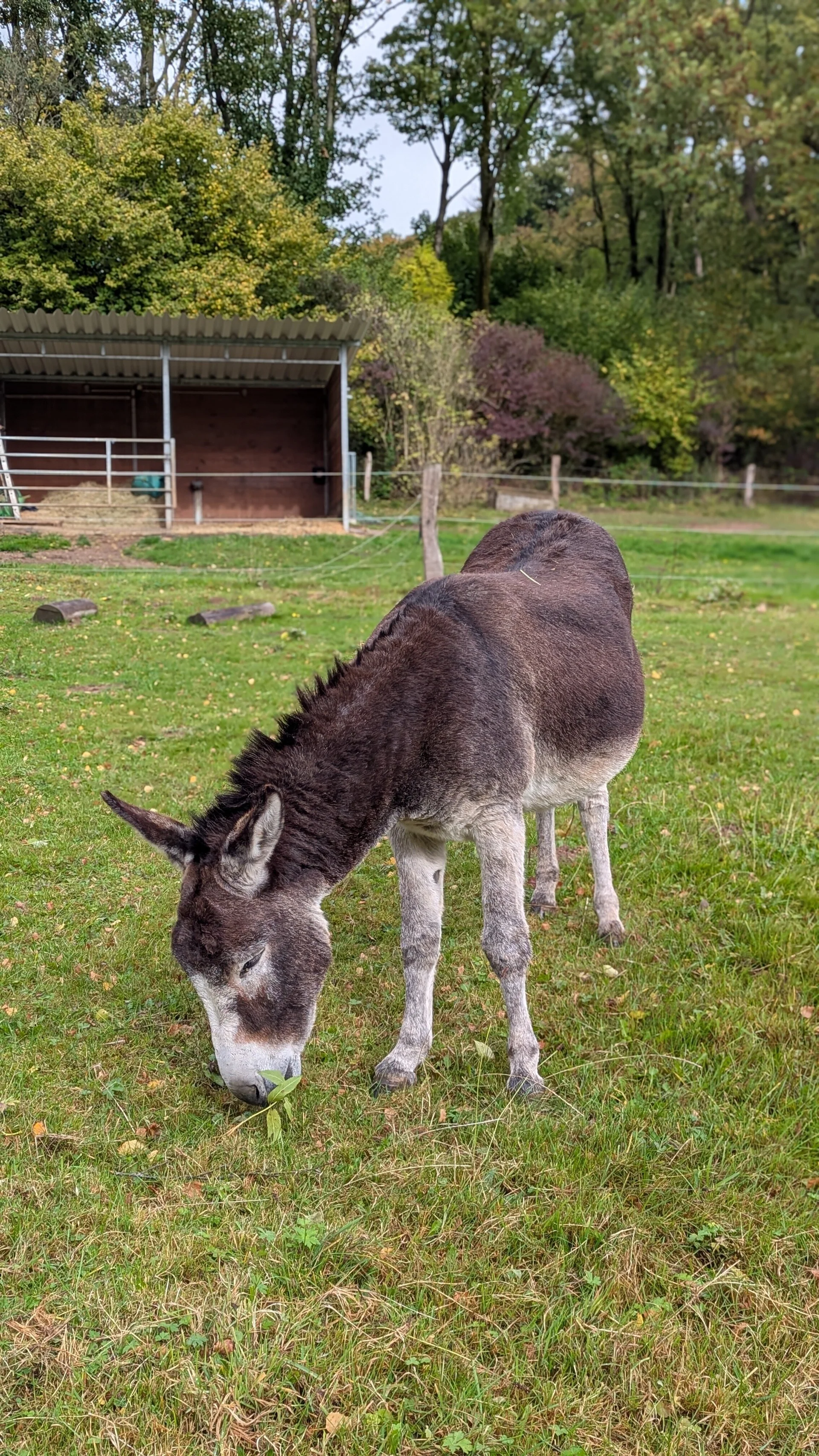 © DAV Sektion Paderborn