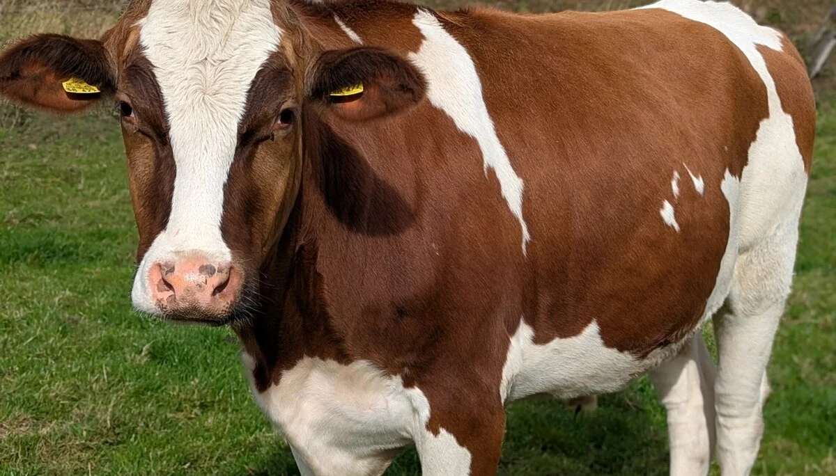 © DAV Sektion Paderborn