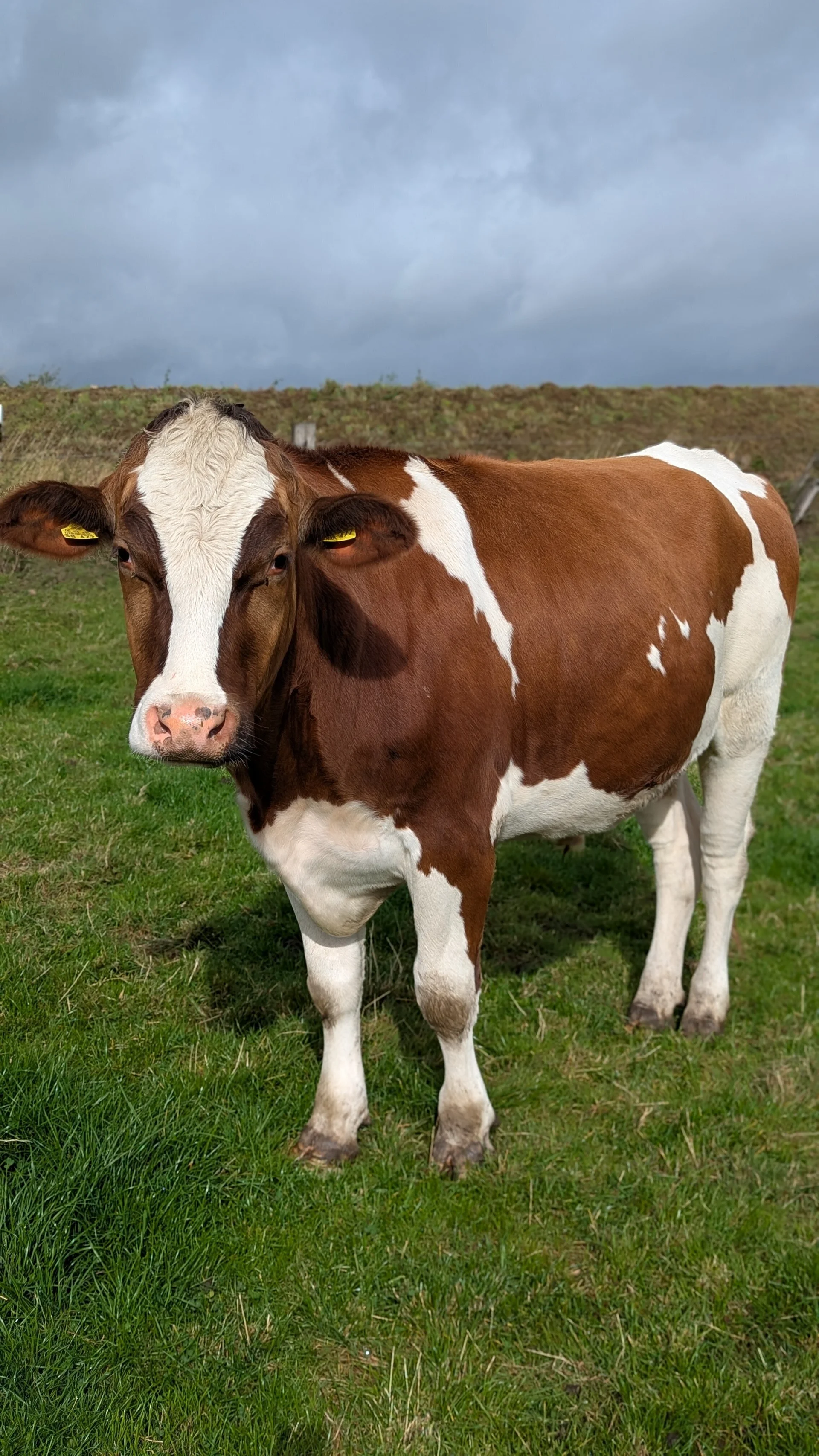 © DAV Sektion Paderborn