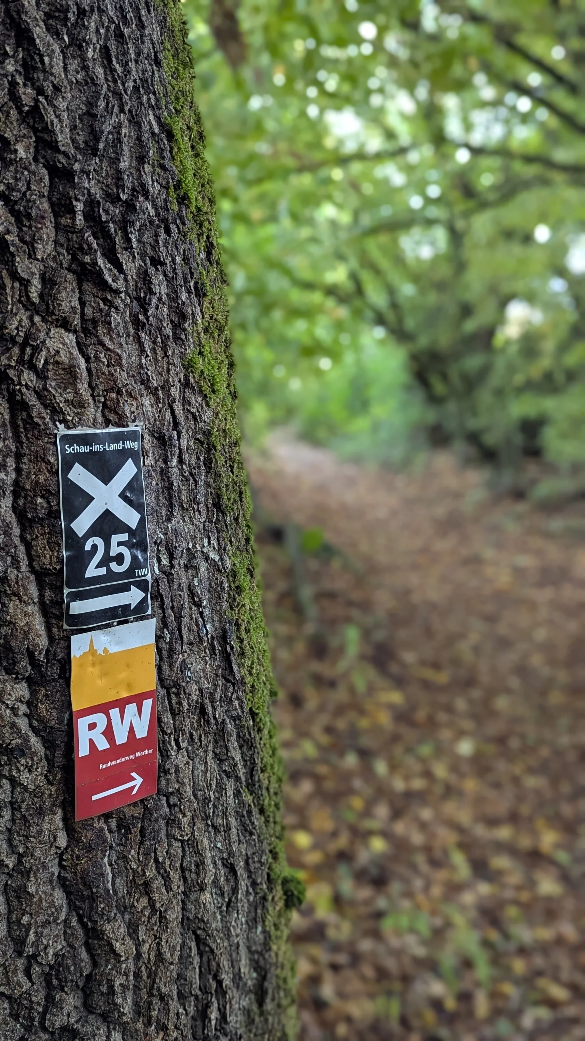 © DAV Sektion Paderborn