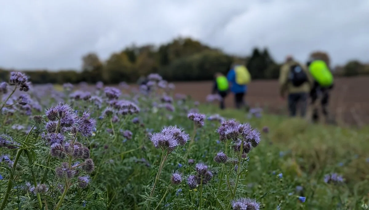 © DAV Sektion Paderborn