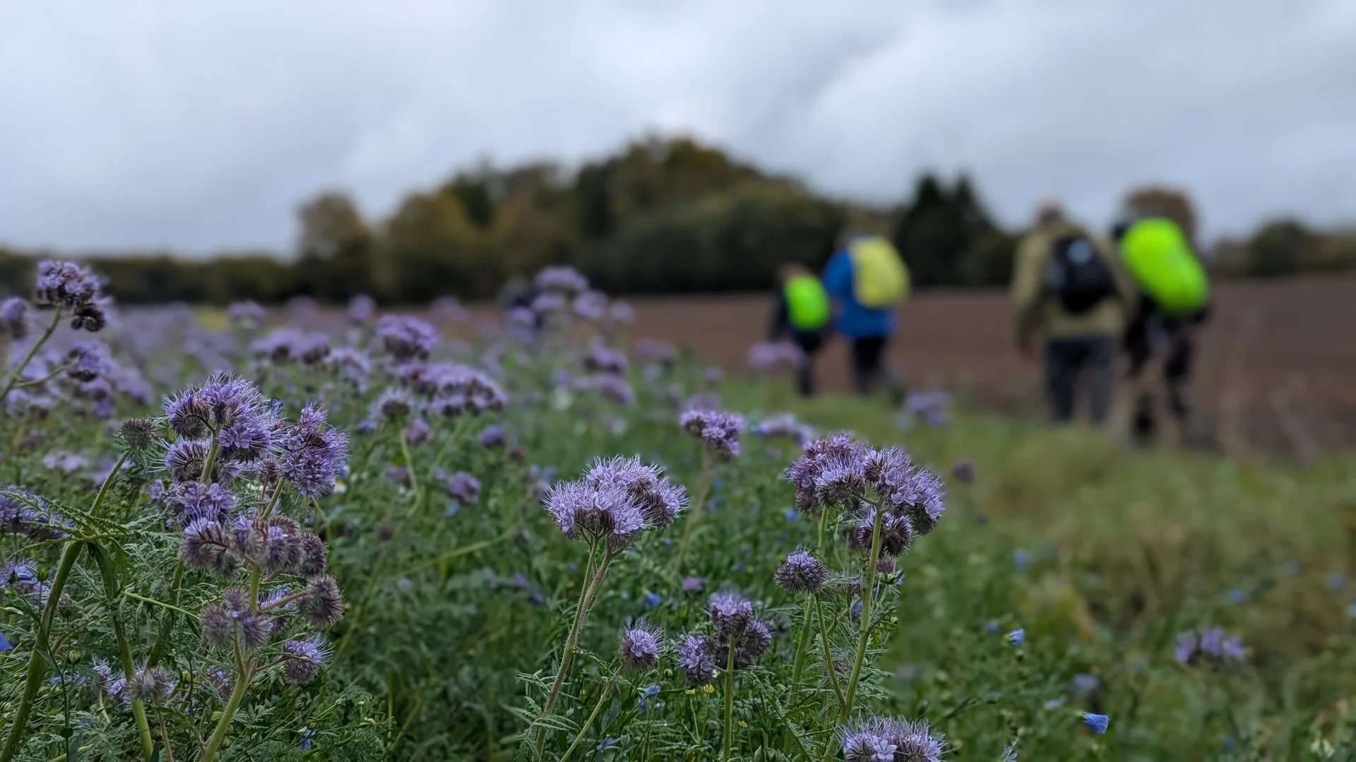 © DAV Sektion Paderborn