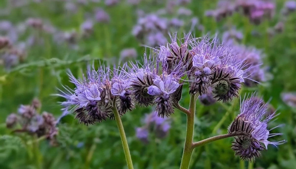 © DAV Sektion Paderborn