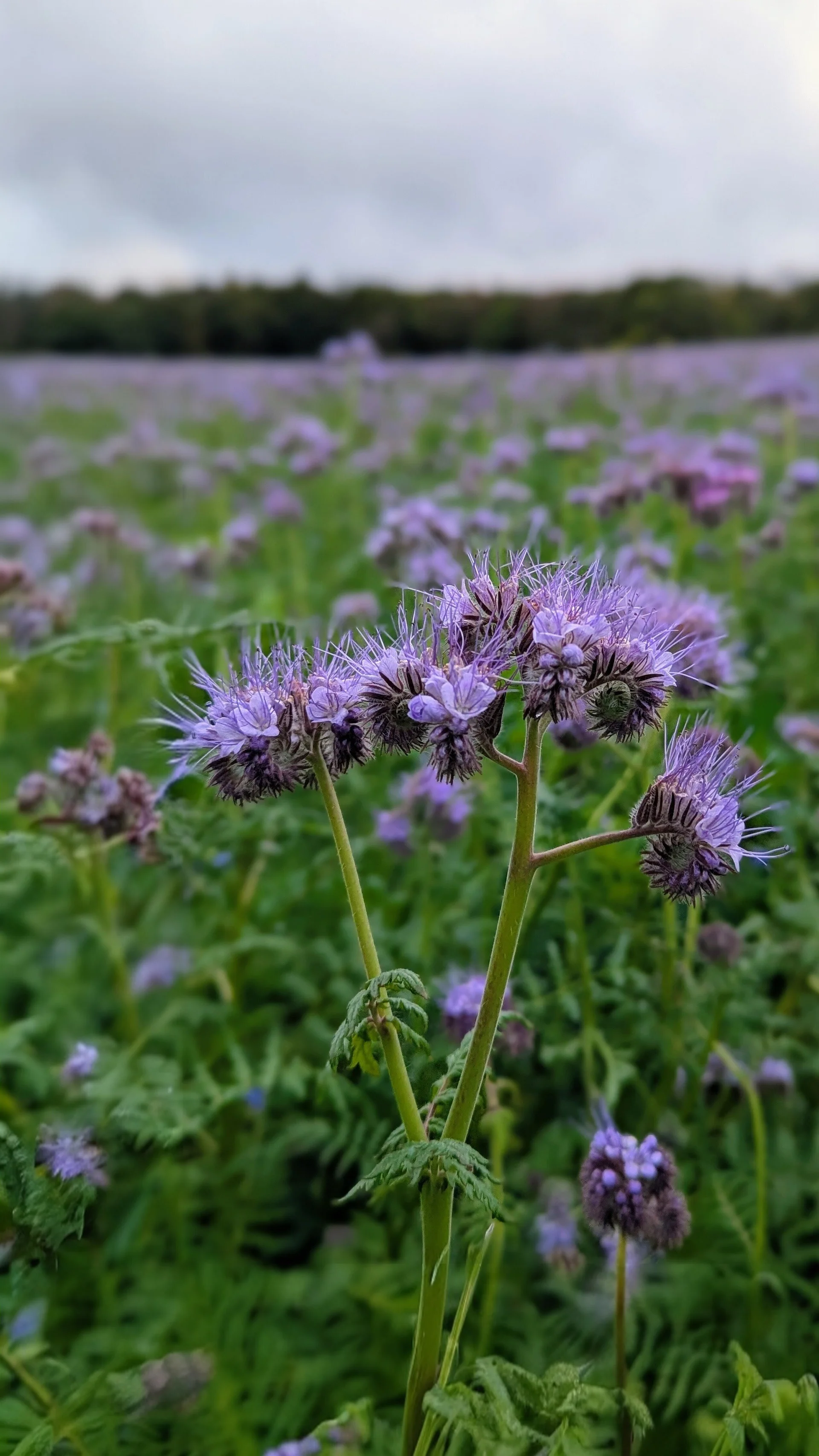 © DAV Sektion Paderborn