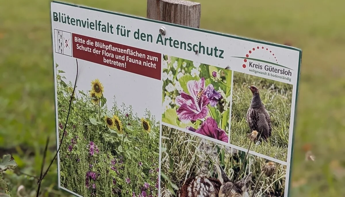 © DAV Sektion Paderborn