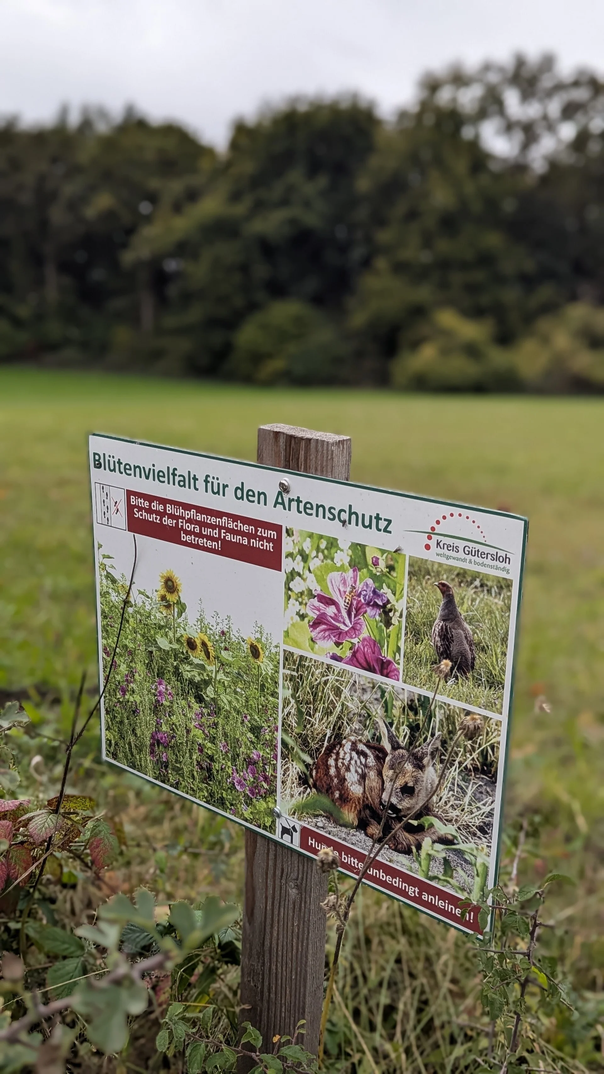 © DAV Sektion Paderborn