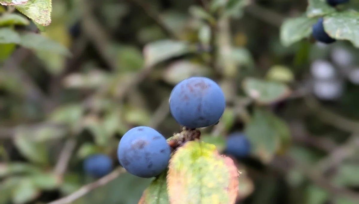 © DAV Sektion Paderborn