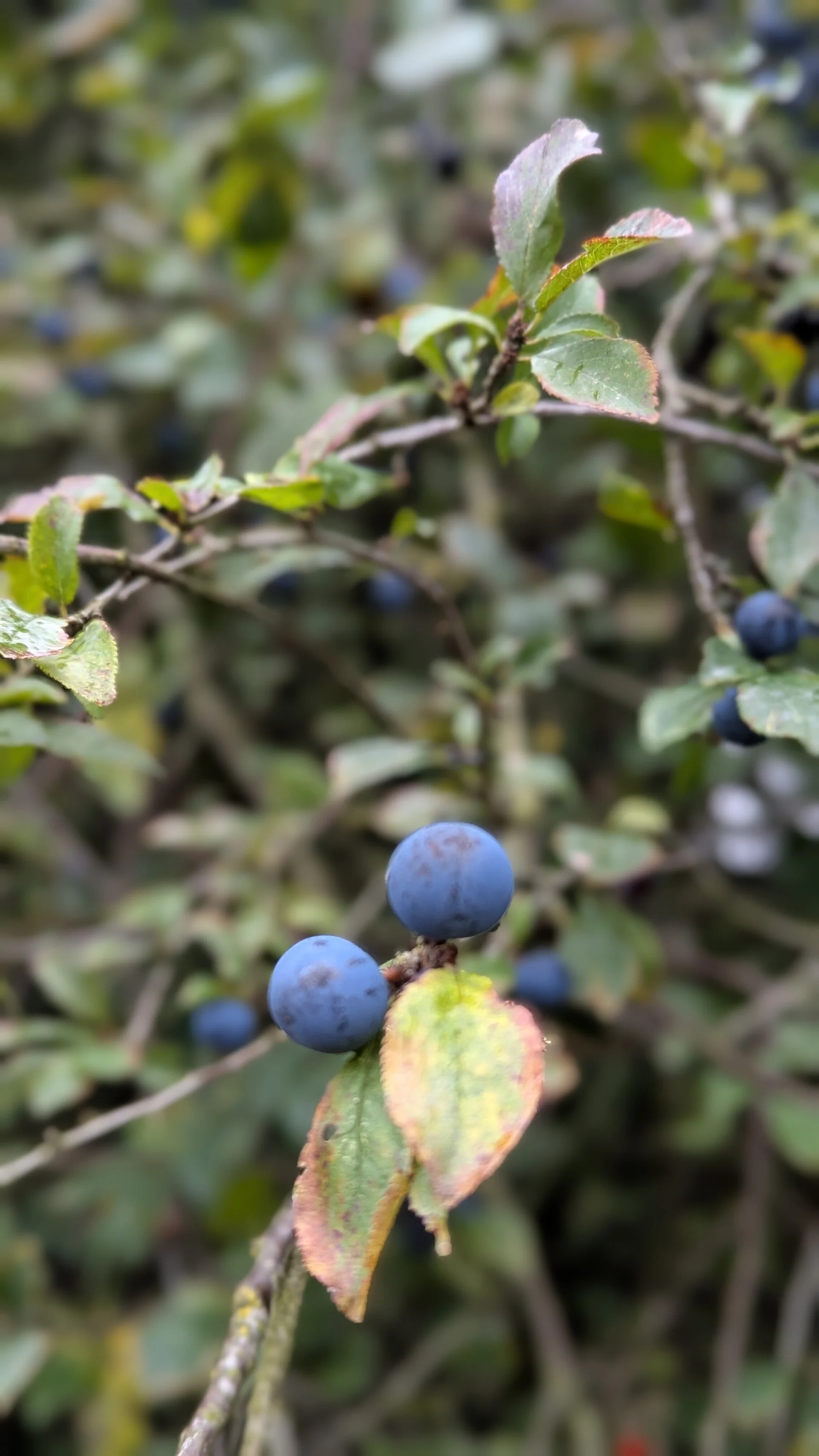 © DAV Sektion Paderborn