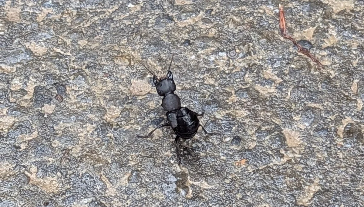 © DAV Sektion Paderborn