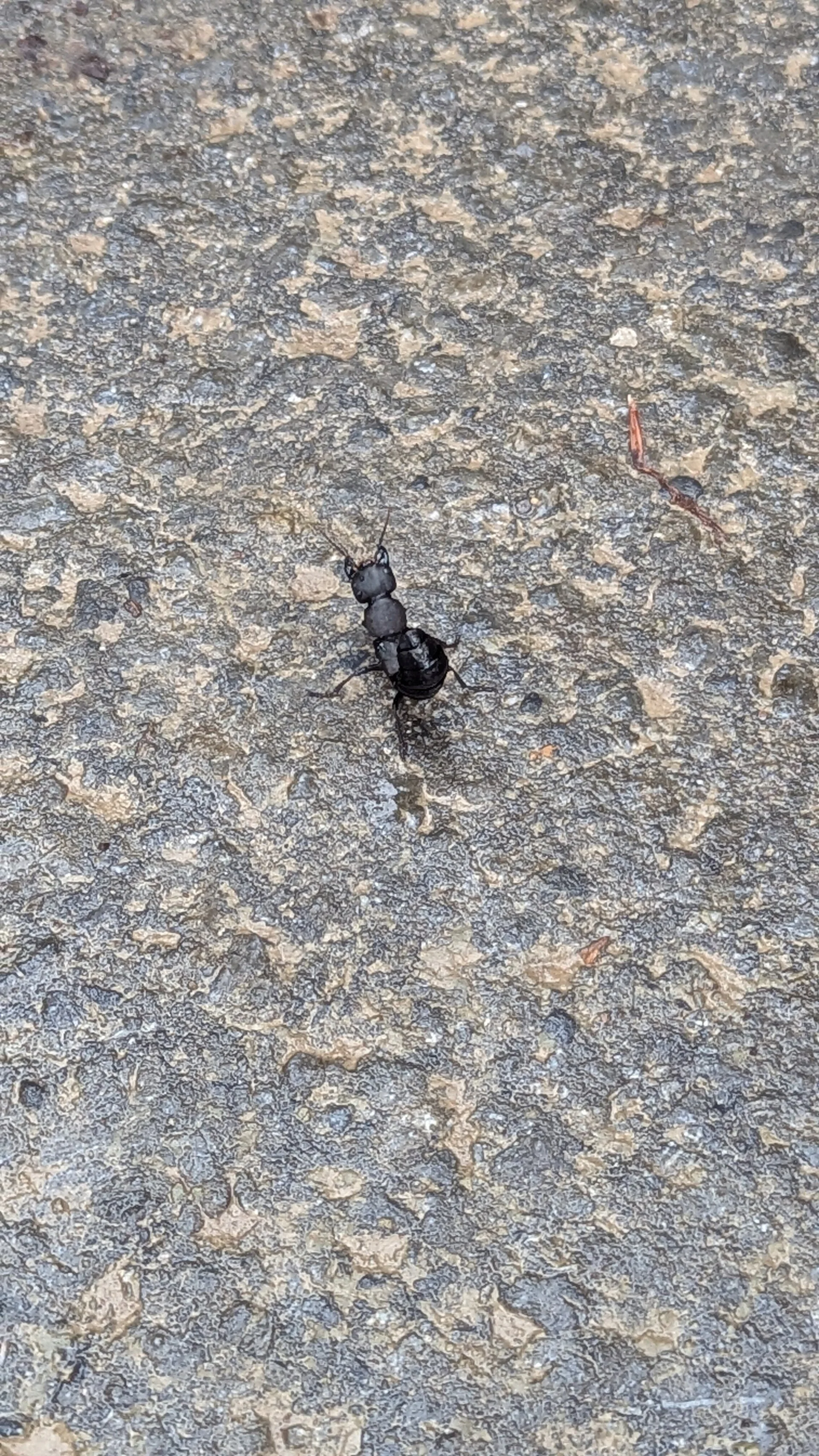 © DAV Sektion Paderborn