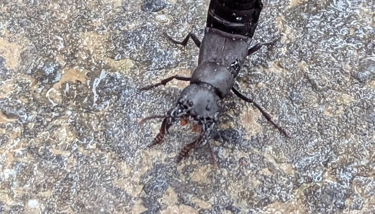 © DAV Sektion Paderborn