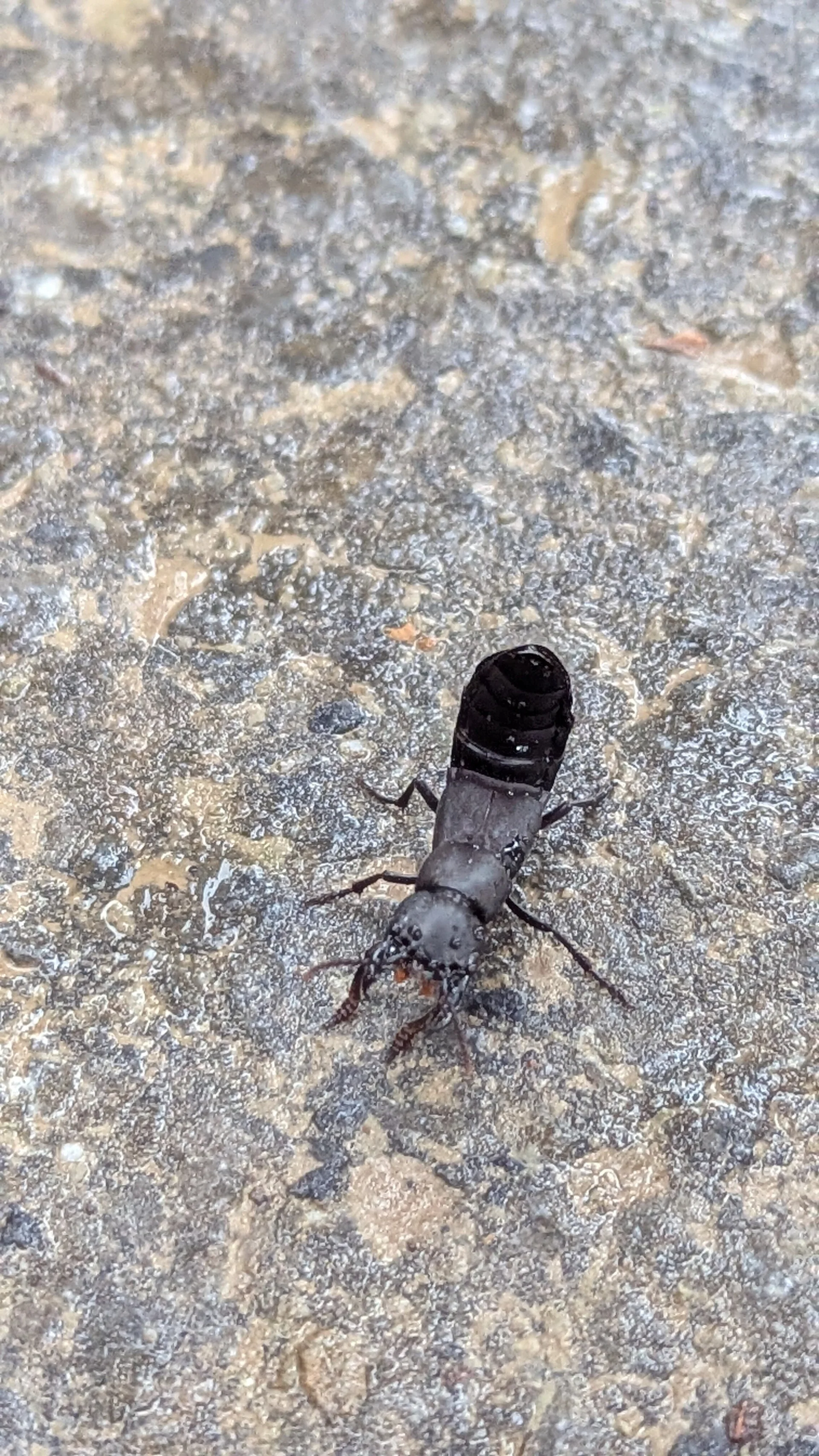 © DAV Sektion Paderborn