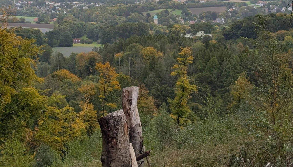 © DAV Sektion Paderborn