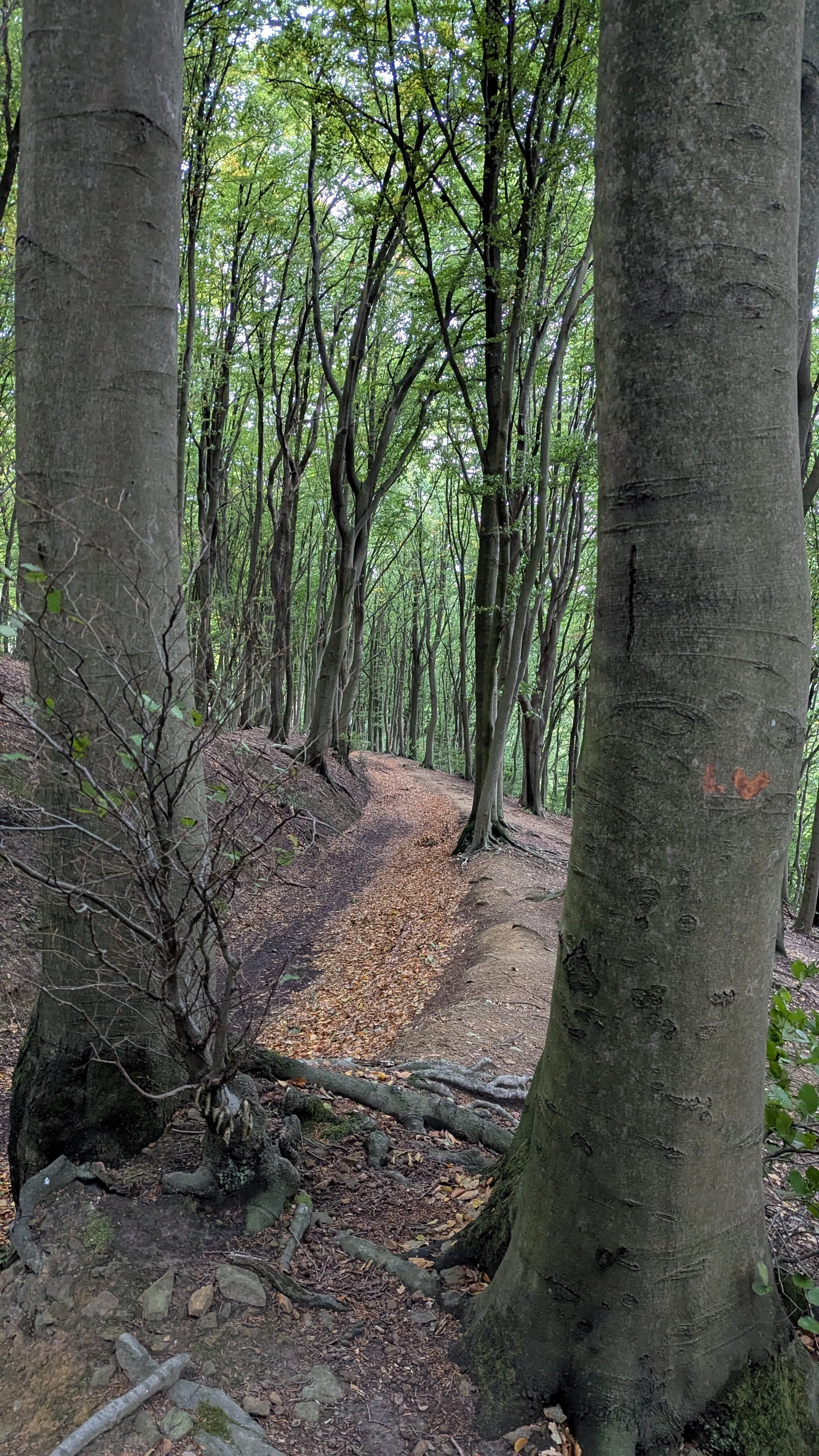 © DAV Sektion Paderborn