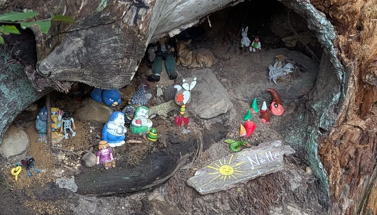 © DAV Sektion Paderborn