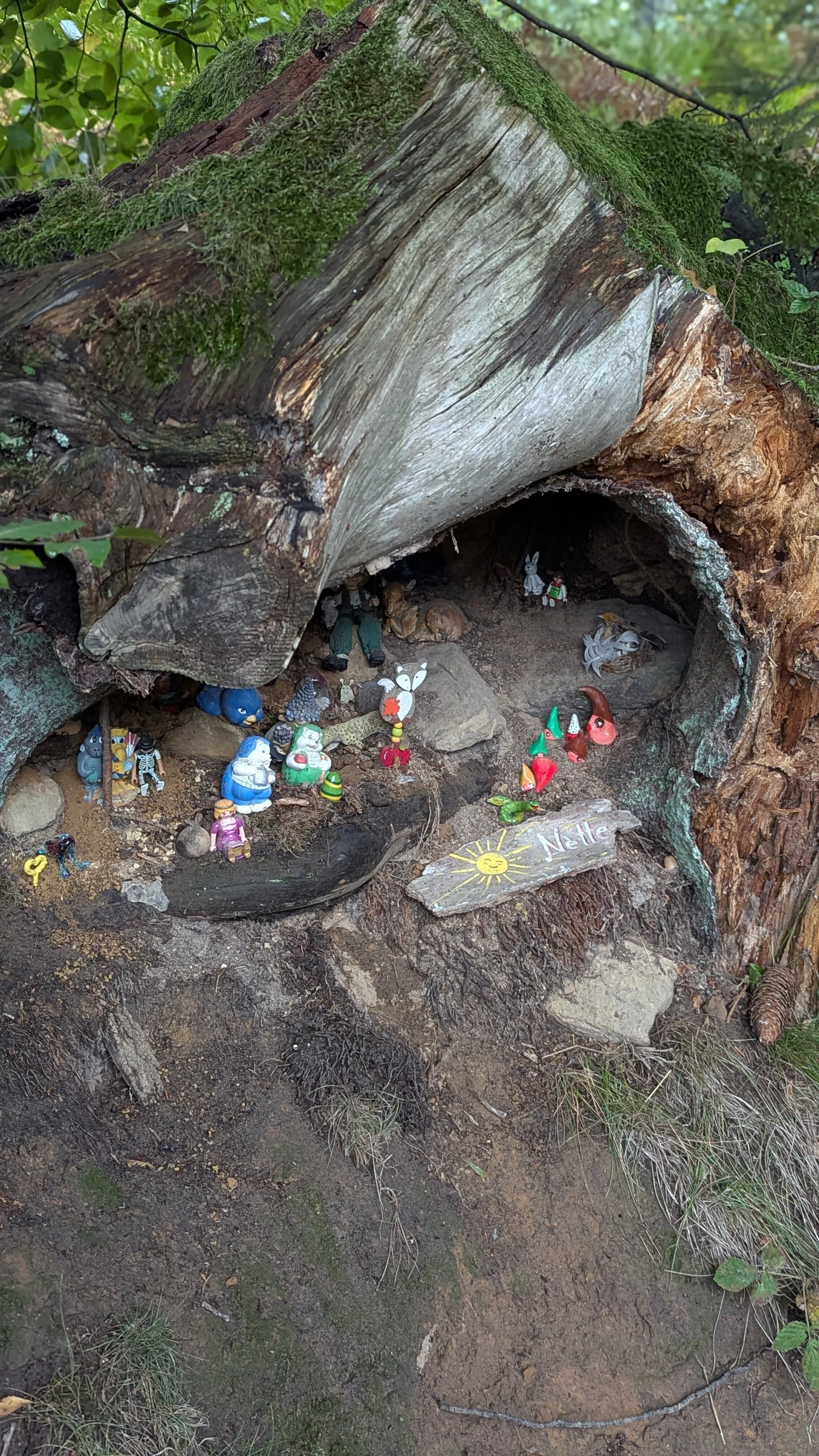 © DAV Sektion Paderborn