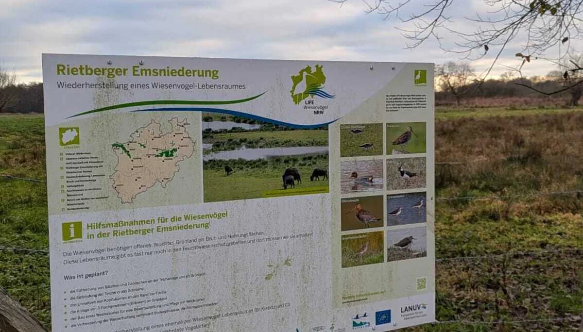 © DAV Sektion Paderborn