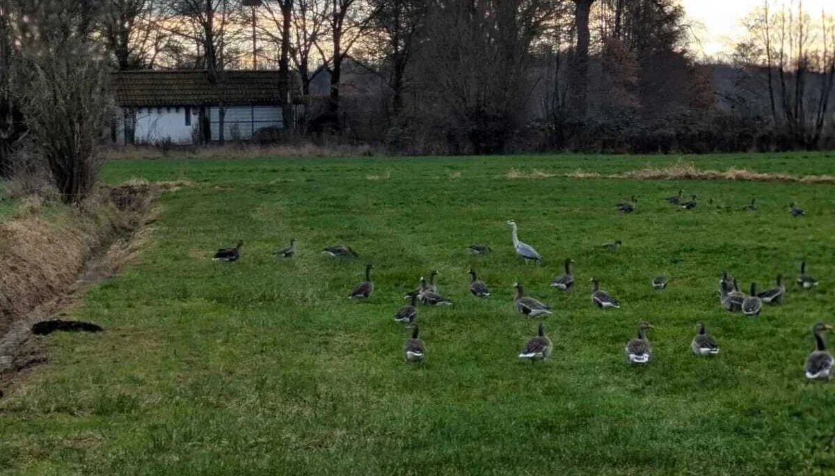 © DAV Sektion Paderborn