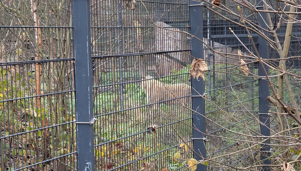 © DAV Sektion Paderborn