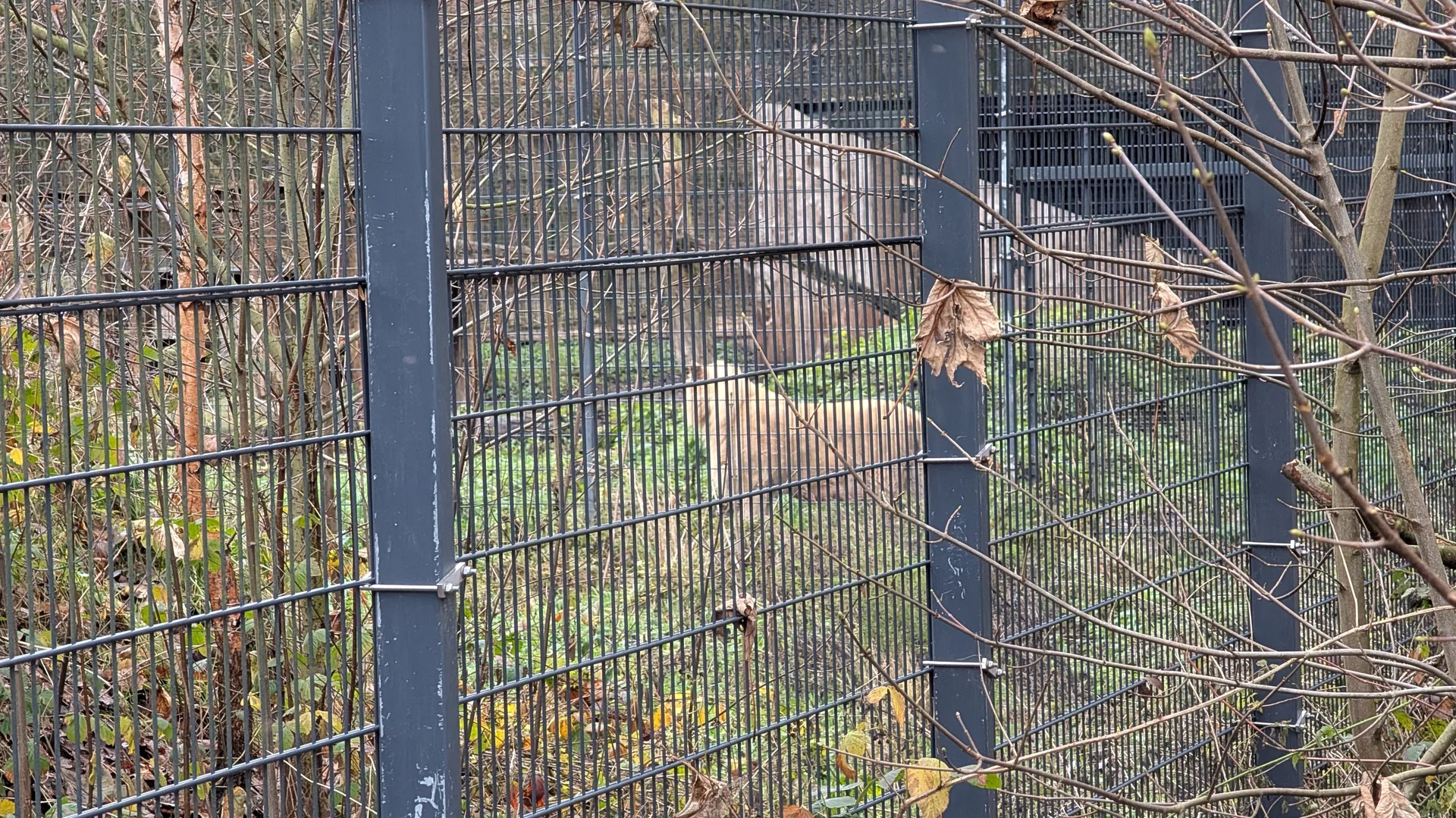 © DAV Sektion Paderborn