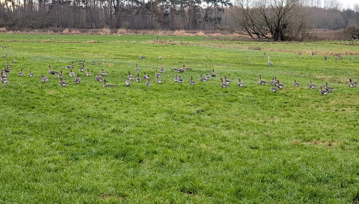 © DAV Sektion Paderborn