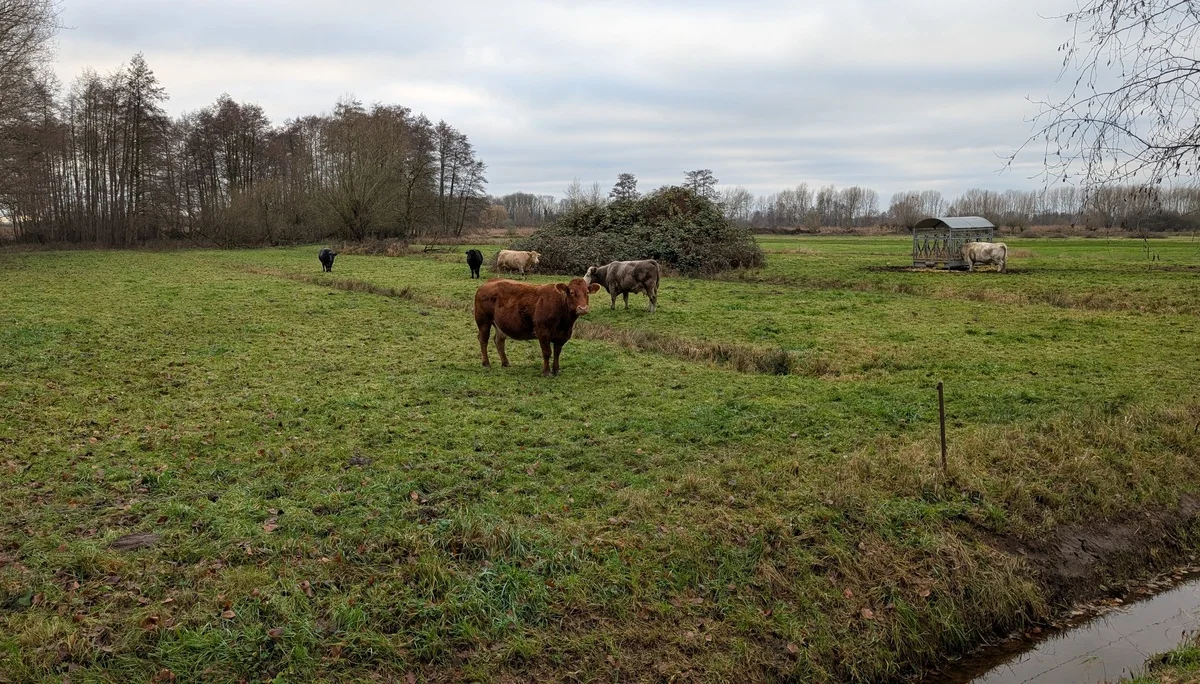 © DAV Sektion Paderborn