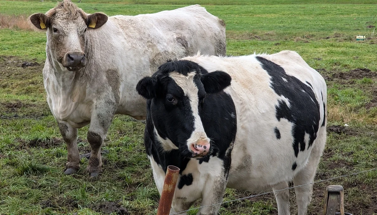 © DAV Sektion Paderborn