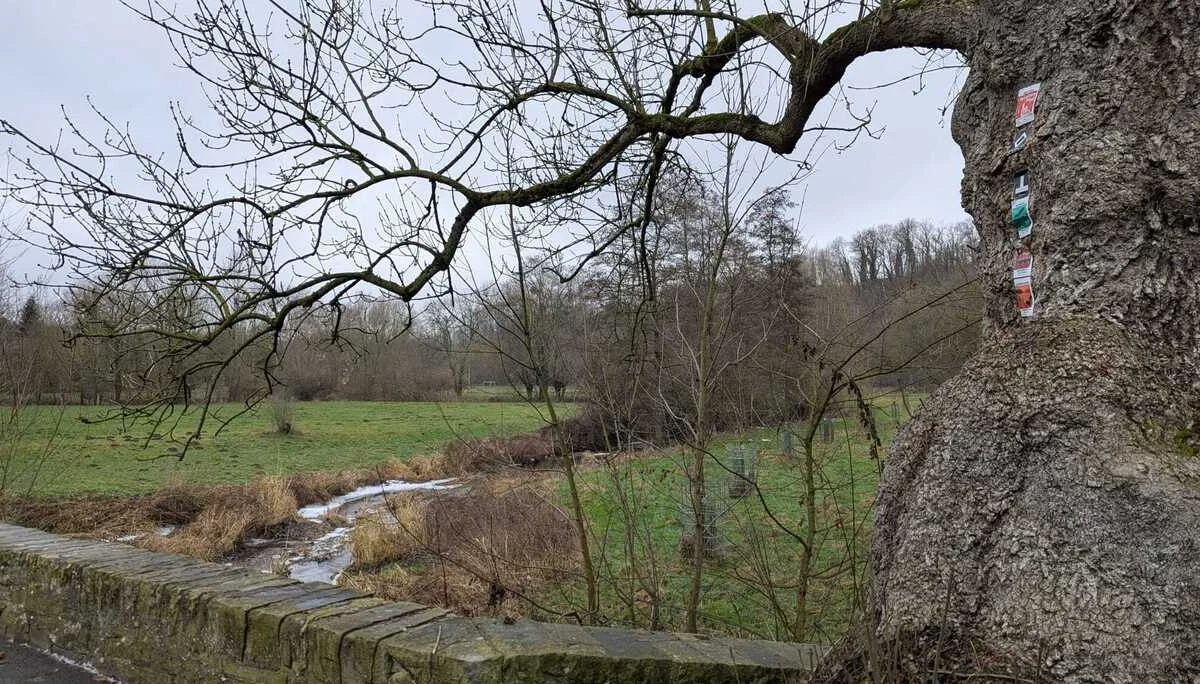 © DAV Sektion Paderborn