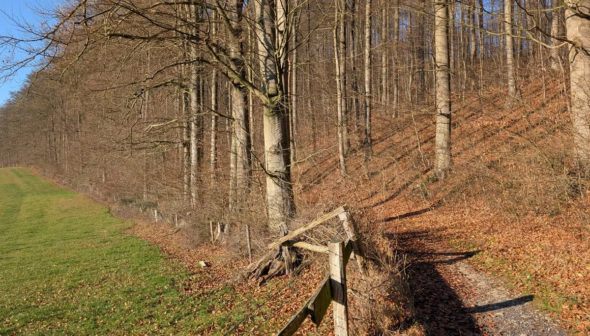 © DAV Sektion Paderborn