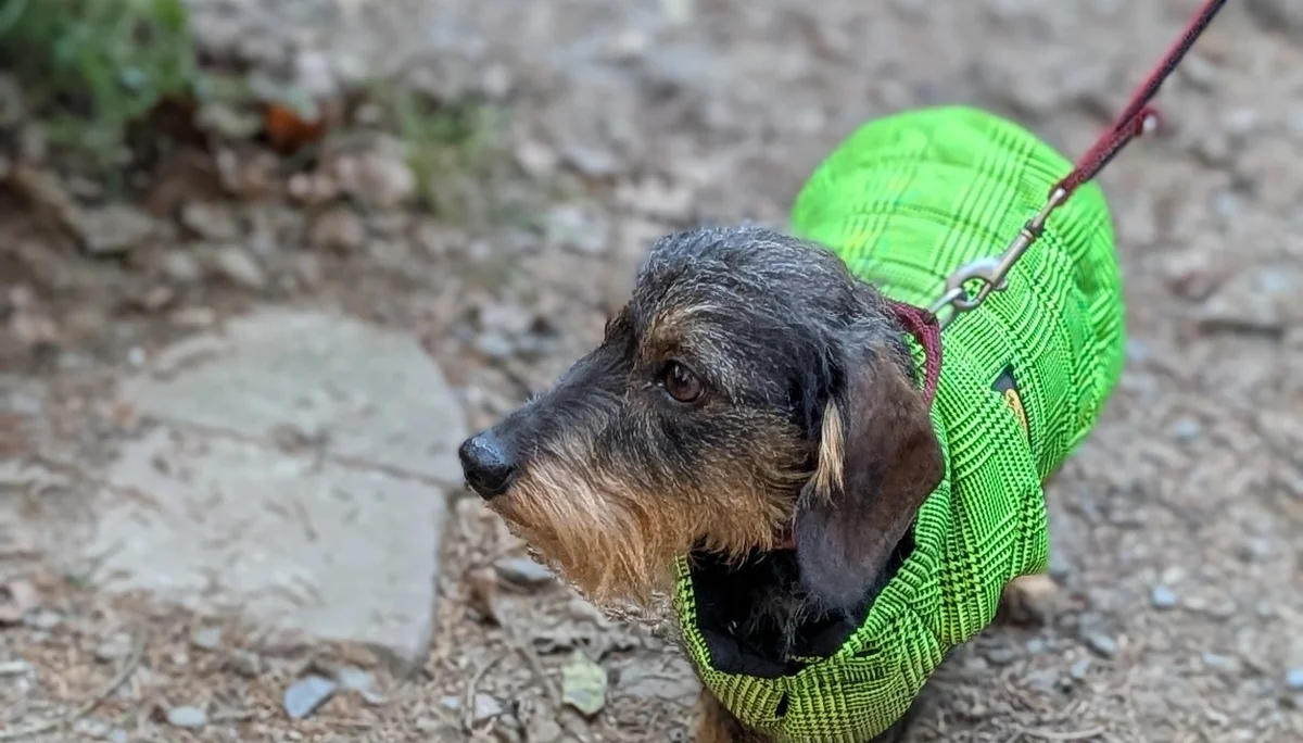 © DAV Sektion Paderborn