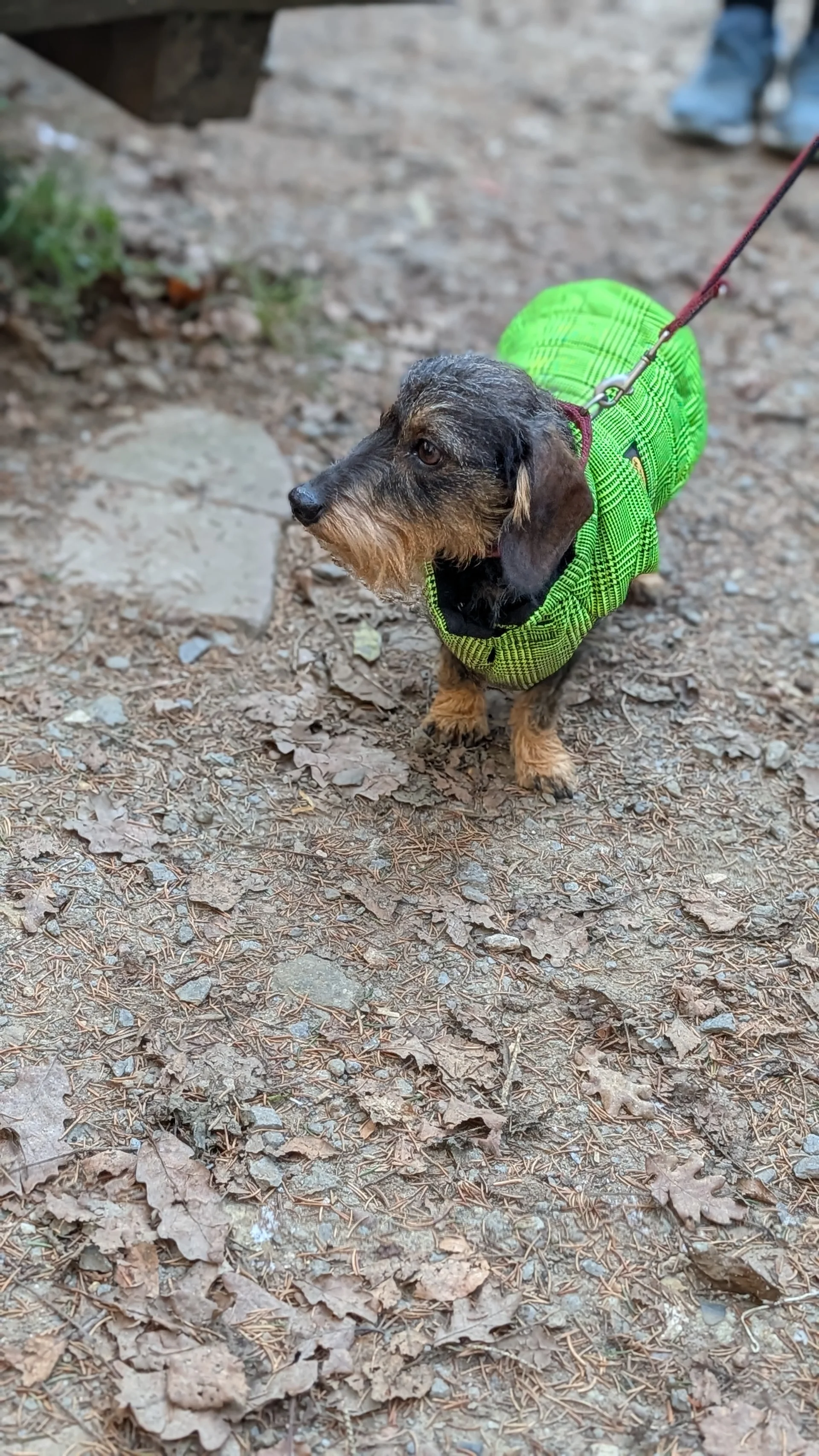 © DAV Sektion Paderborn