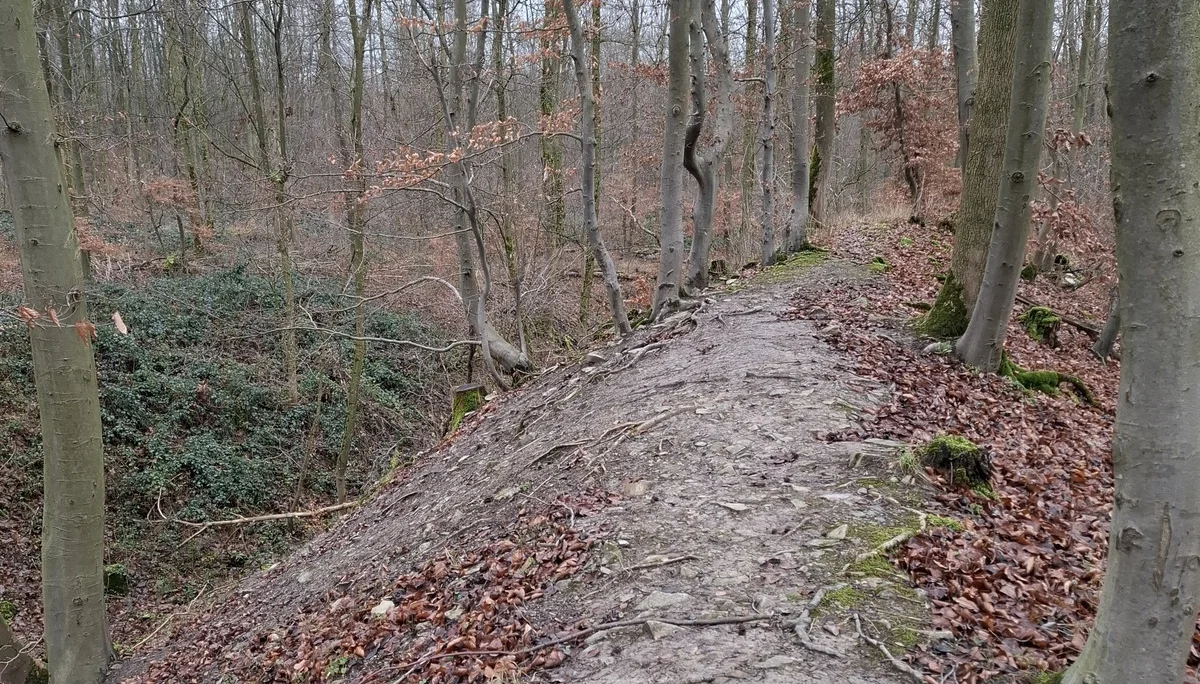 © DAV Sektion Paderborn