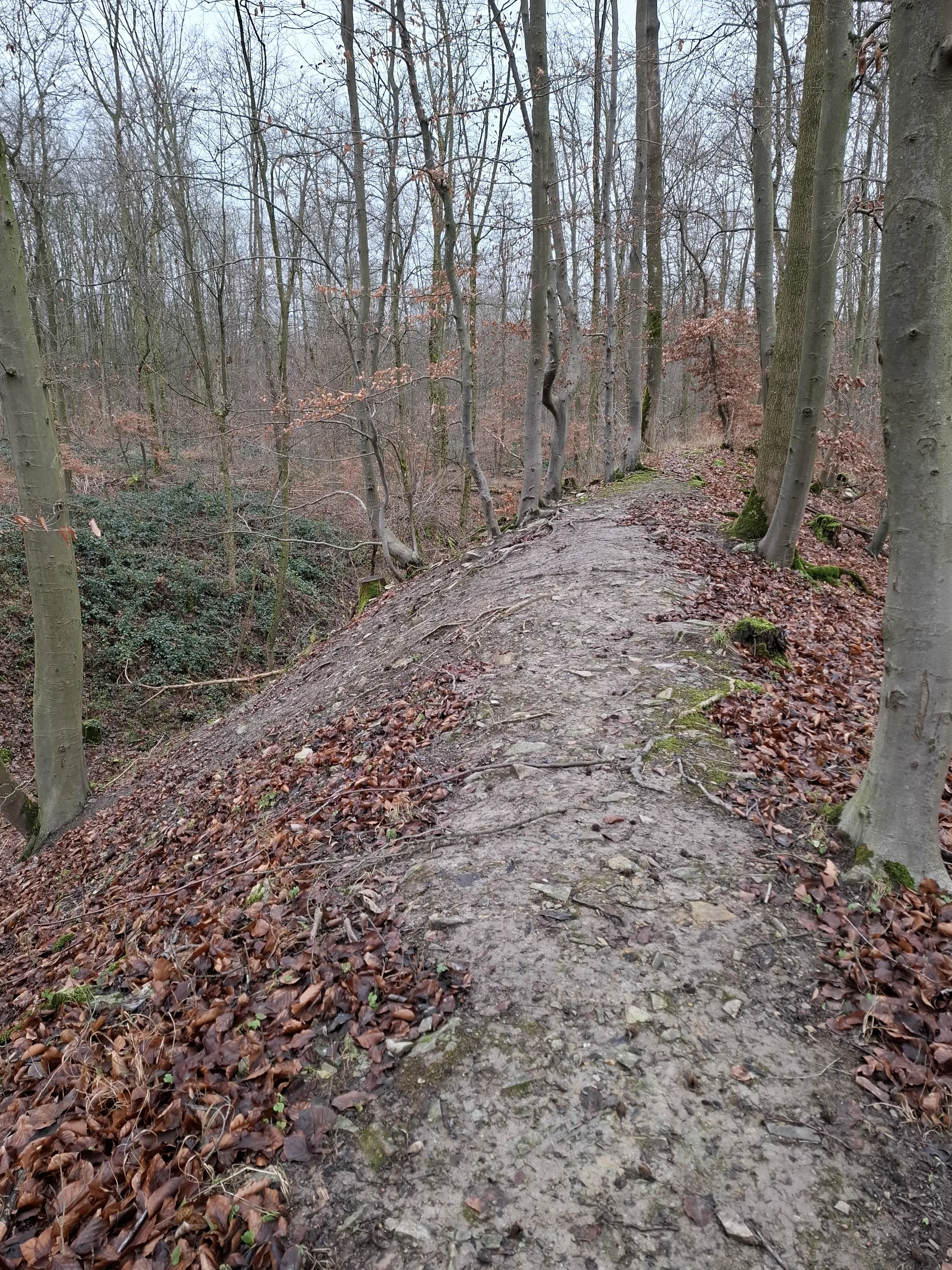 © DAV Sektion Paderborn