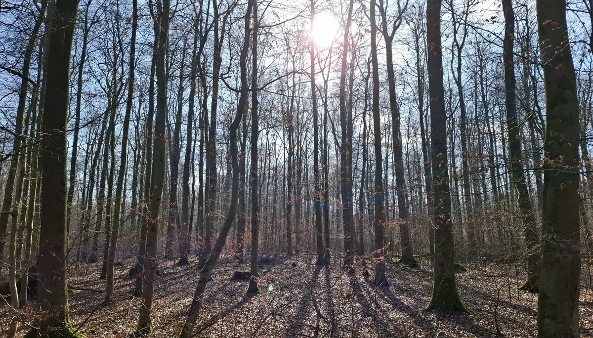 © DAV Sektion Paderborn