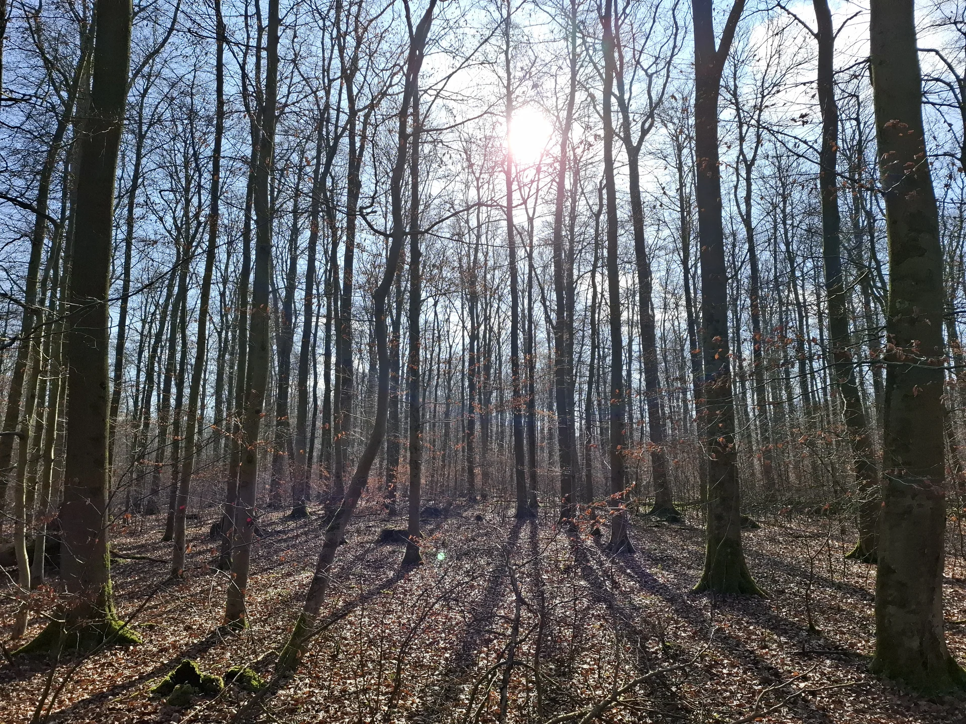 © DAV Sektion Paderborn