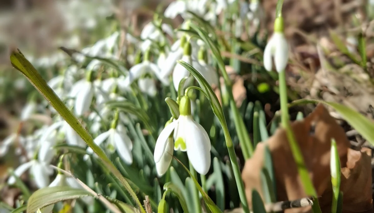 © DAV Sektion Paderborn