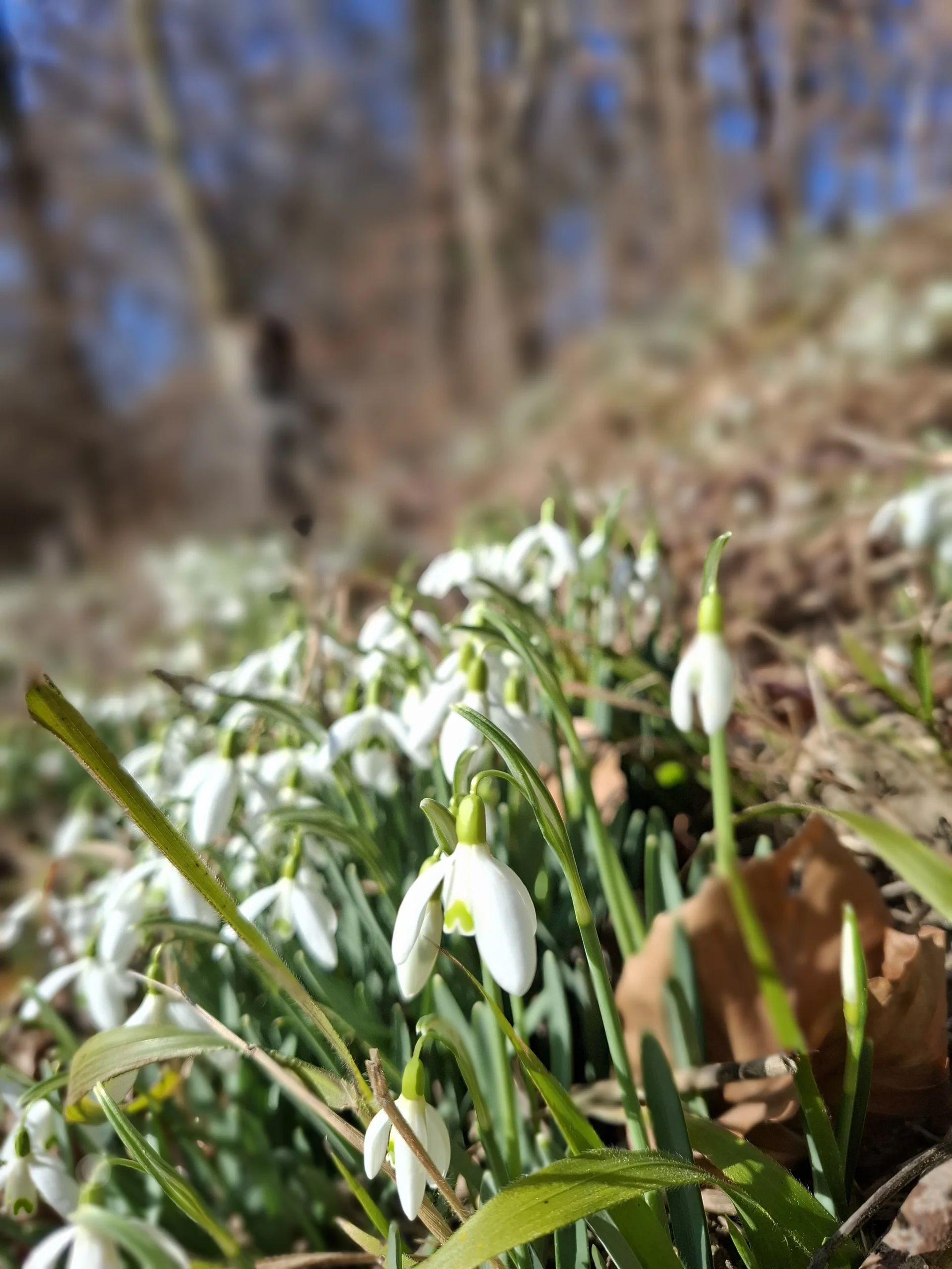 © DAV Sektion Paderborn